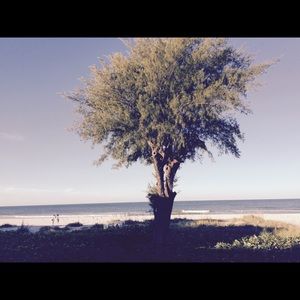 Meet your Posher, Dinna